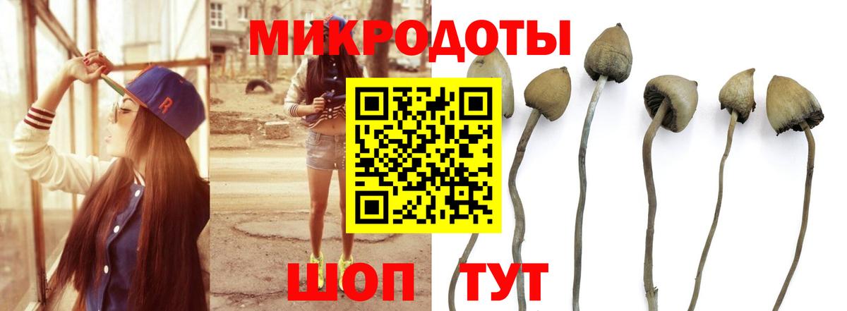 Галлюциногенные грибы мицелий Красноярск